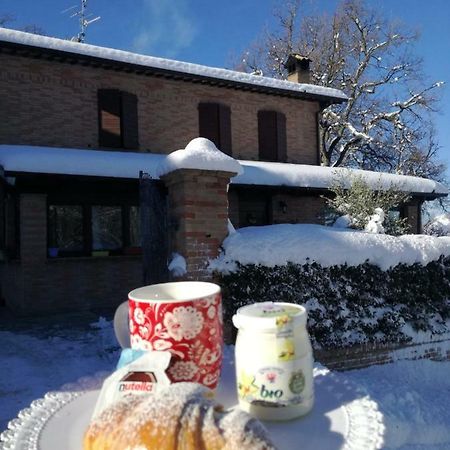 加梅里亚诺Il Castagneto住宿加早餐旅馆 外观 照片